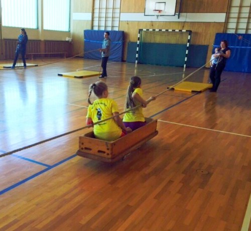 Alternatives Sportfest 2014 -6