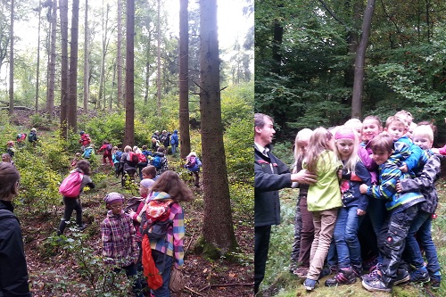 Ausflug in den Wald1