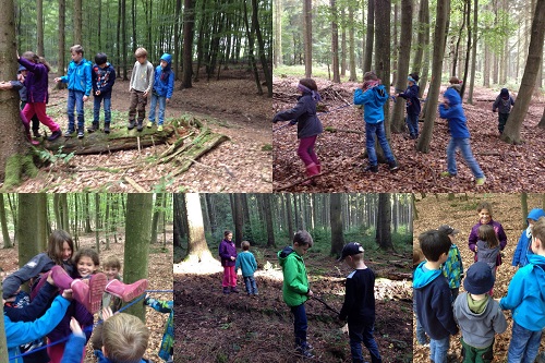 Spiele im Wald